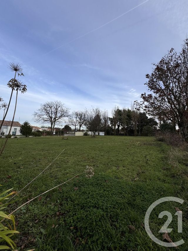 terrain à vendre - 411.0 m2 - LE FENOUILLER - 85 - PAYS-DE-LOIRE - Century 21 Bleu Marine