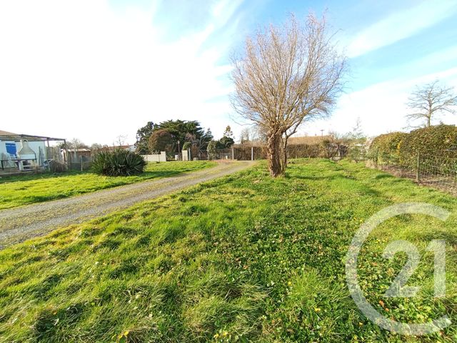 terrain - LE FENOUILLER - 85